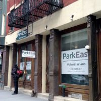 VCA Park East Animal Hospital ico