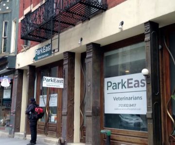 VCA Park East Animal Hospital