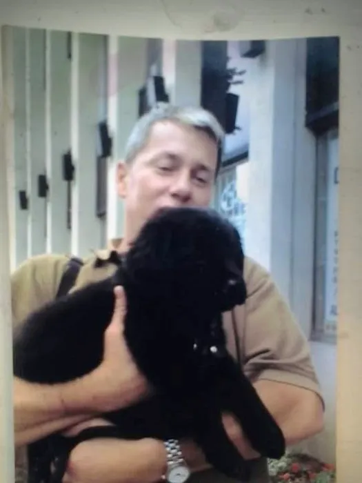 VCA Park East Animal Hospital 4