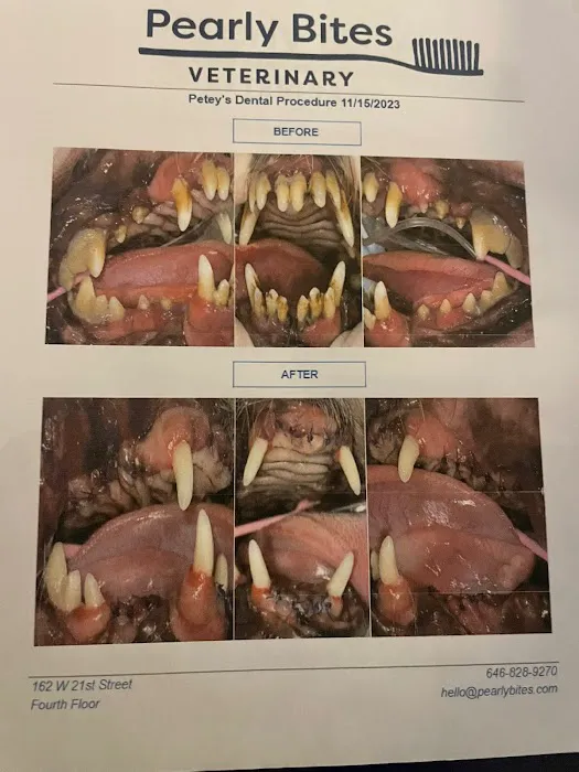 Pearly Bites Veterinary 12