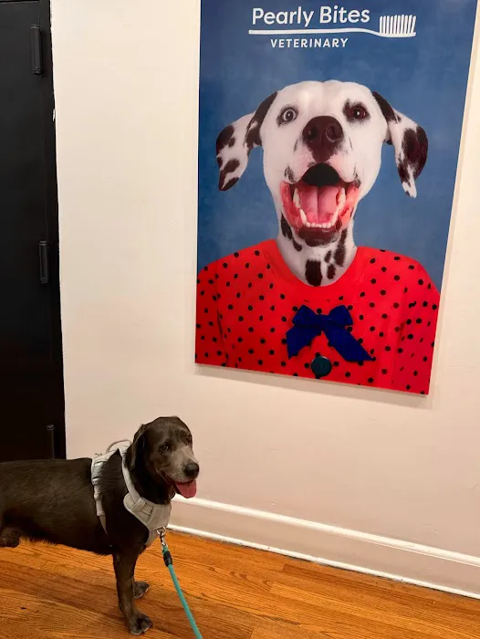 Pearly Bites Veterinary 12