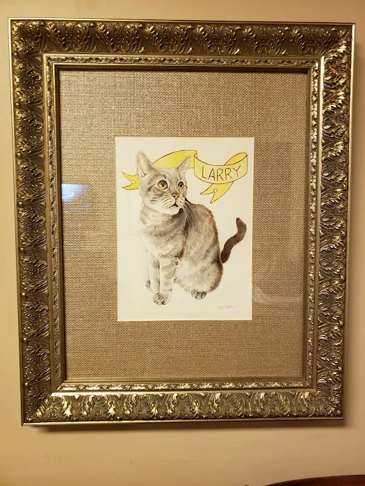 The Cat Practice 6