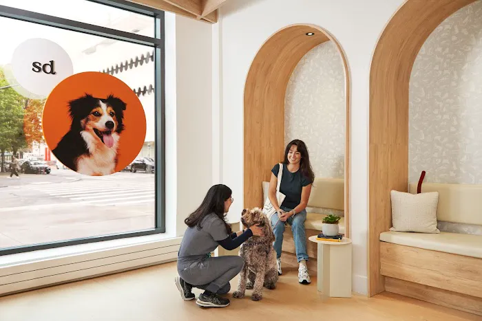 Small Door Veterinary - West Village 12