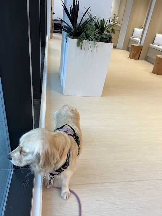 Small Door Veterinary - West Village 12