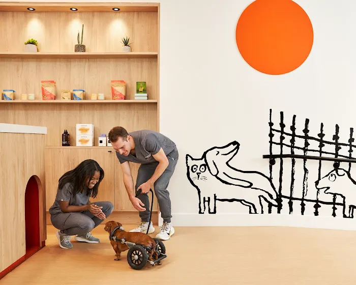 Small Door Veterinary - West Village 12