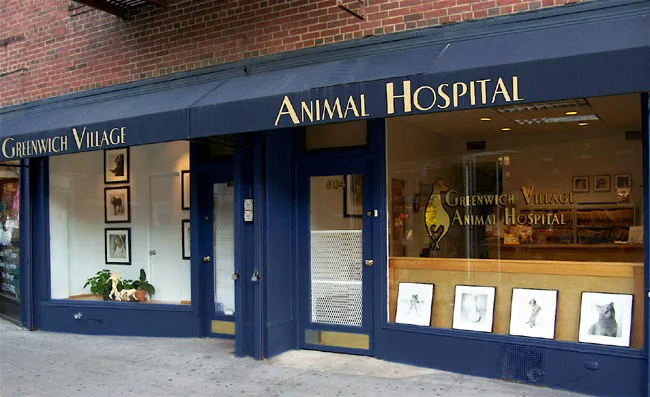Greenwich Village Animal Hospital 3