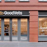 GoodVets West Village ico