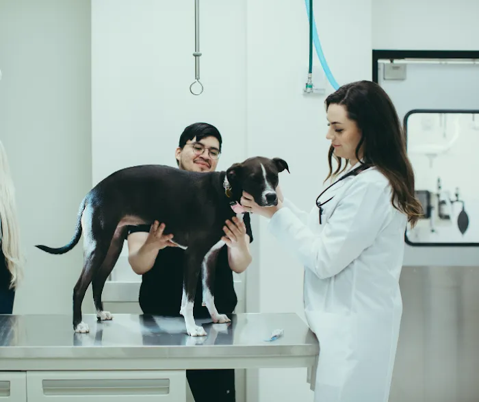 Pure Paws Veterinary Care of Hudson Square 12