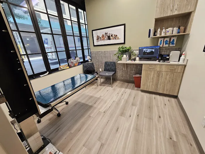 Pure Paws Veterinary Care of Hudson Square 12
