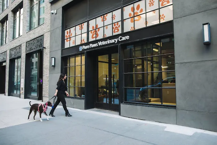 Pure Paws Veterinary Care of Hudson Square 12