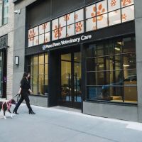 Pure Paws Veterinary Care of Hudson Square ico