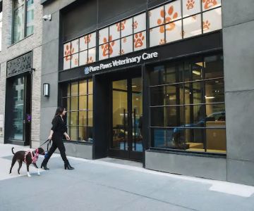Pure Paws Veterinary Care of Hudson Square