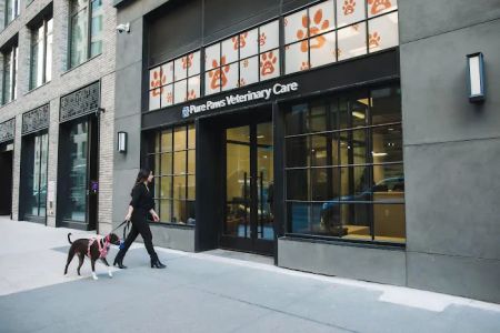Pure Paws Veterinary Care of Hudson Square