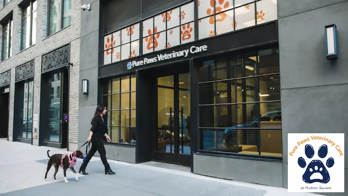 Pure Paws Veterinary Care of Hudson Square 12