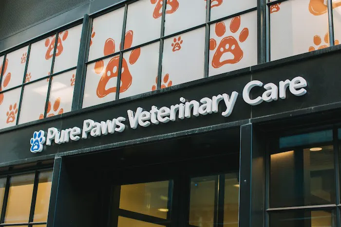 Pure Paws Veterinary Care of Hudson Square 12