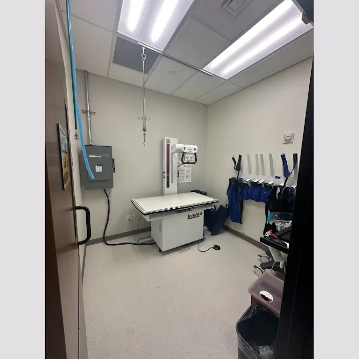 KLC Veterinary Surgical Services 2
