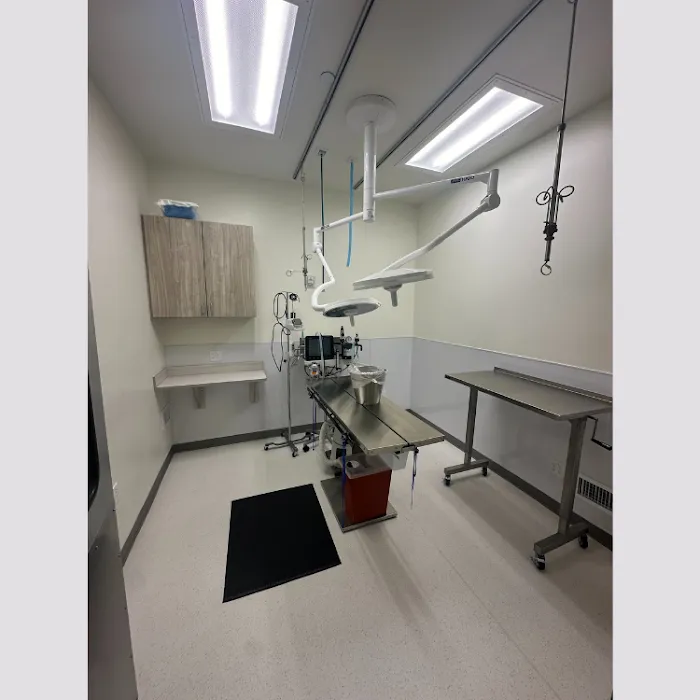 KLC Veterinary Surgical Services 1