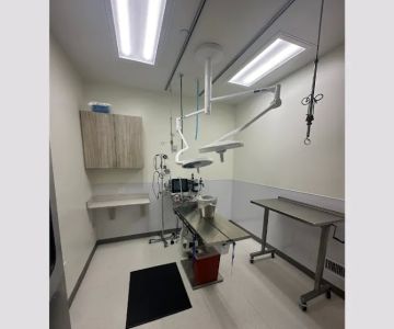 KLC Veterinary Surgical Services
