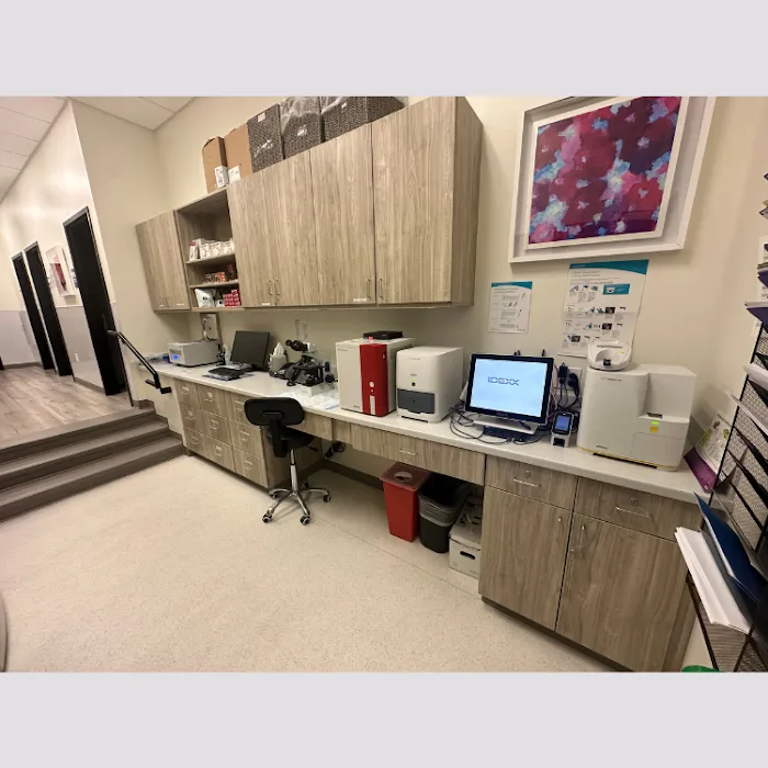 KLC Veterinary Surgical Services 3