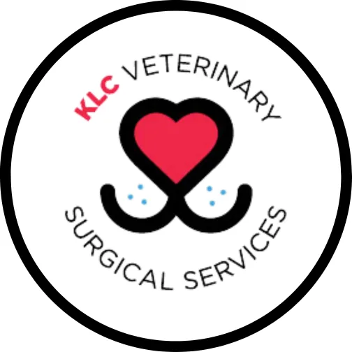 KLC Veterinary Surgical Services 4