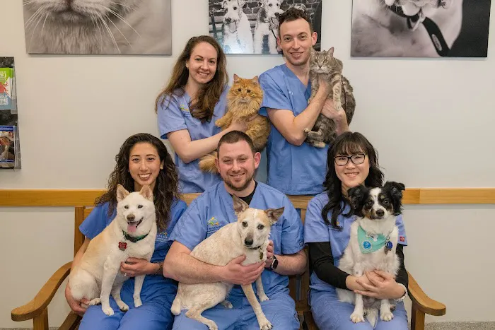 West Village Veterinary Hospital 12
