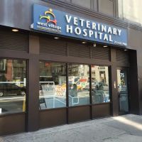 West Village Veterinary Hospital ico