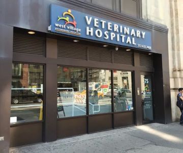 West Village Veterinary Hospital