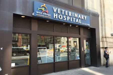 West Village Veterinary Hospital