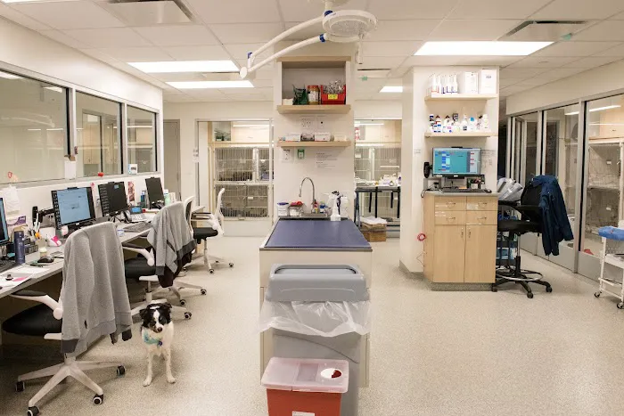 West Village Veterinary Hospital 12