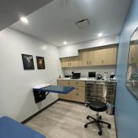 Eye Care For Animals NYC ico