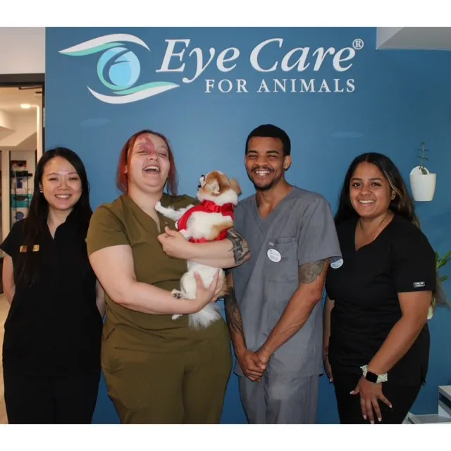 Eye Care For Animals NYC 4