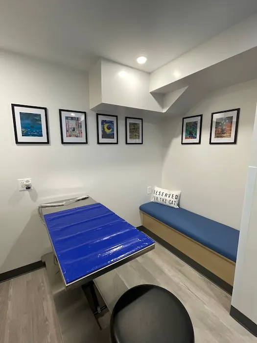 Eye Care For Animals NYC 7