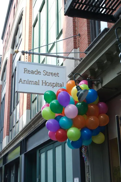 Reade Street Animal Hospital, A Thrive Pet Healthcare Partner 8
