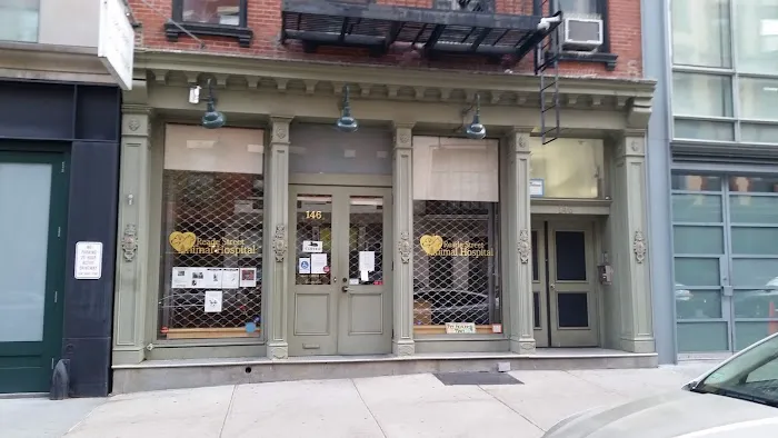 Reade Street Animal Hospital, A Thrive Pet Healthcare Partner 7