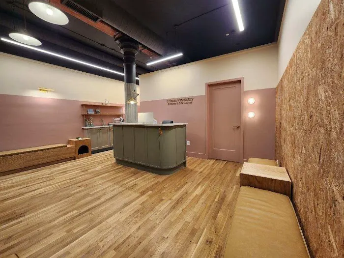 Tribeca Veterinary Dentistry 12