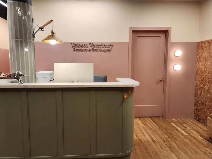 Tribeca Veterinary Dentistry 12