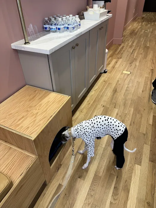 Tribeca Veterinary Dentistry 12