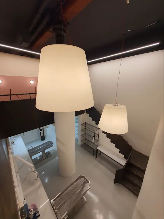 Tribeca Veterinary Dentistry 12