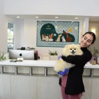 Ivy Pets - Tribeca ico