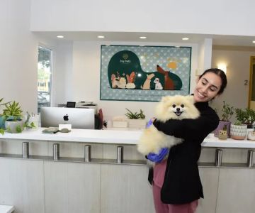 Ivy Pets - Tribeca