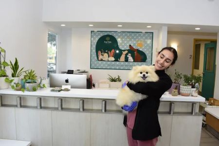 Ivy Pets - Tribeca