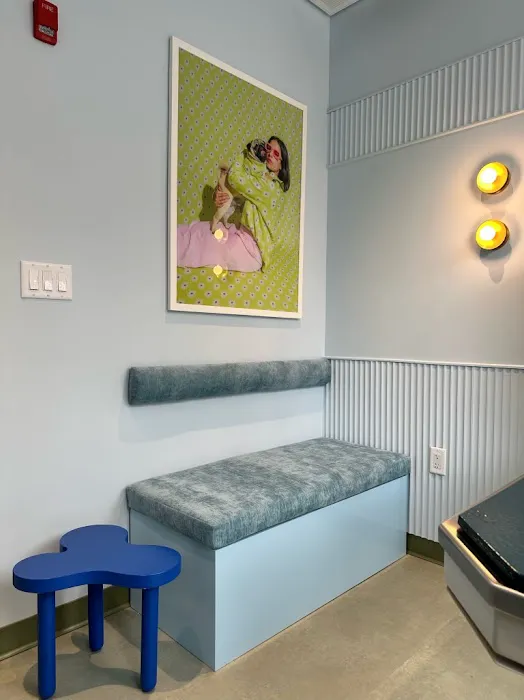 URvet Care Tribeca (URvet Care Midtown Medical Center Open 24/7) 4
