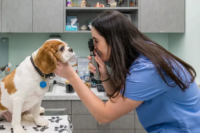 Battery Park Veterinary Hospital 2