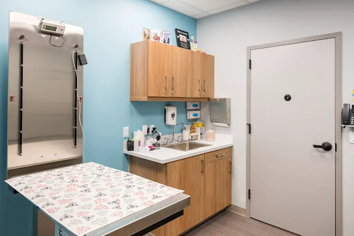 Battery Park Veterinary Hospital 1