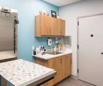Battery Park Veterinary Hospital