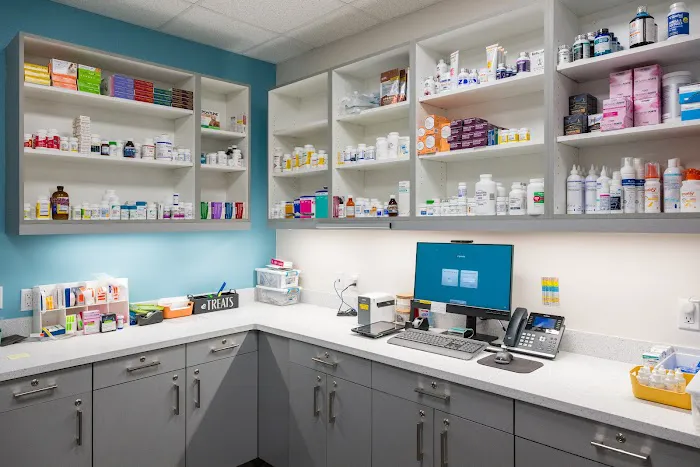 Battery Park Veterinary Hospital 8