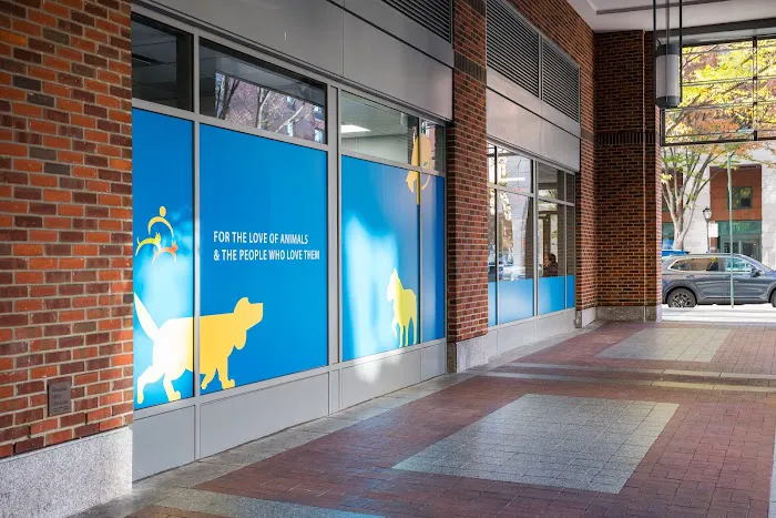 Battery Park Veterinary Hospital 7