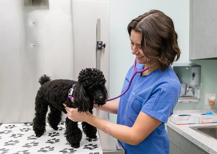 Battery Park Veterinary Hospital 5