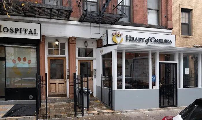 Heart of Chelsea Veterinary Group - Chelsea 12