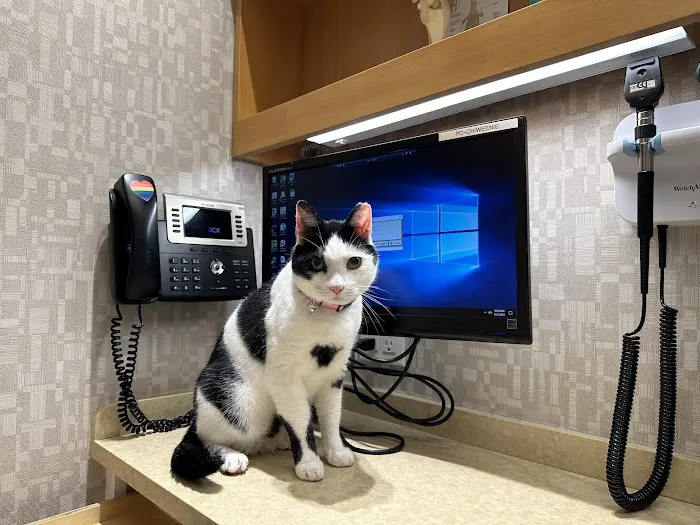 Heart of Chelsea Veterinary Group - Chelsea 12